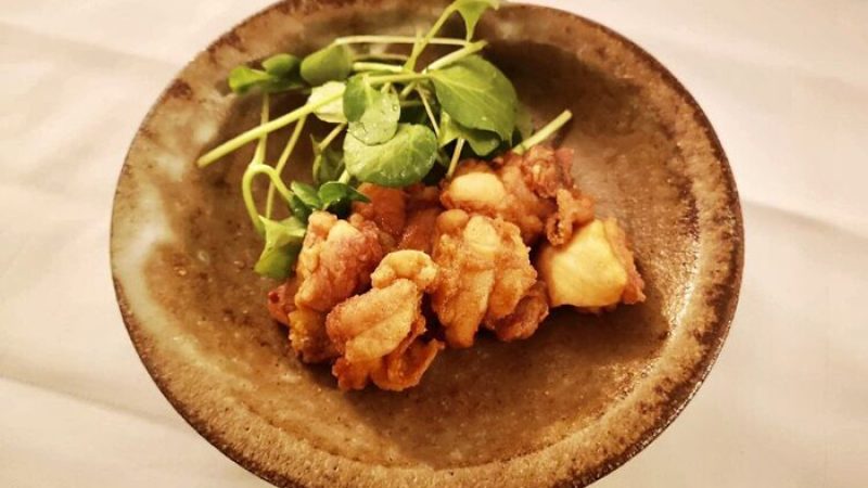 MECHA-UMA-66F66552-18A4-426A-9EC3-119C9C789F51